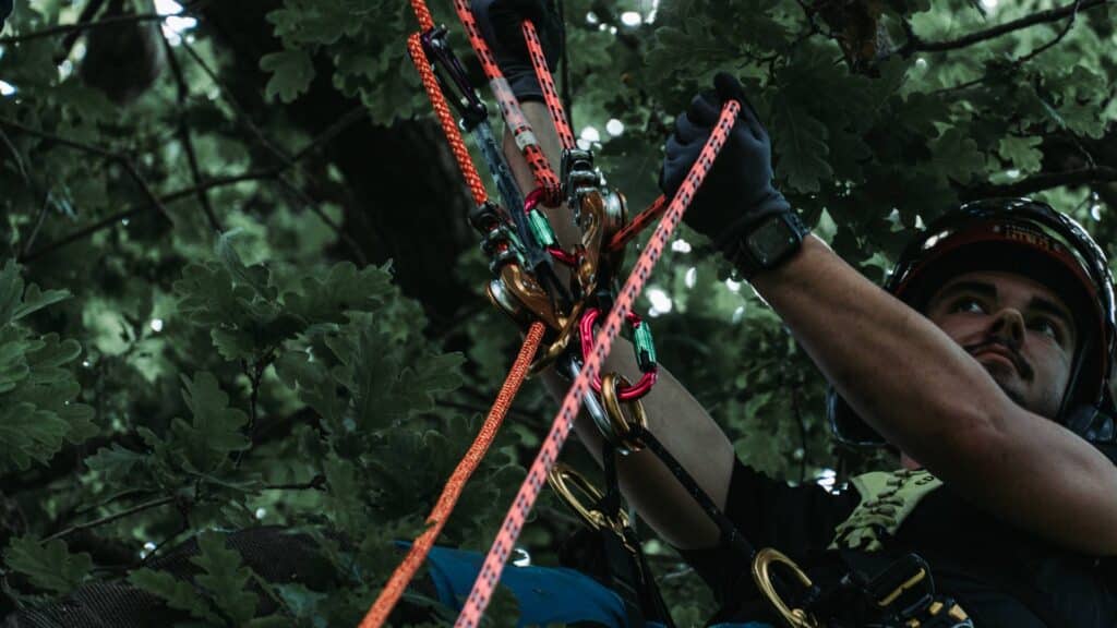 Tree Pruning