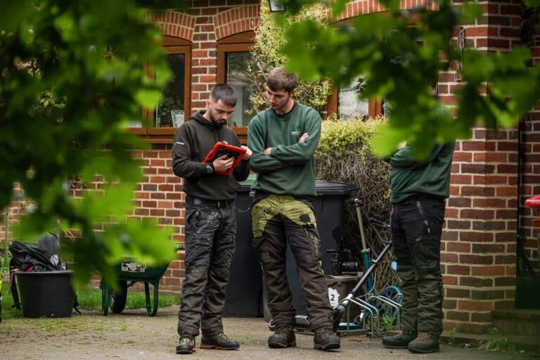 How much does a tree surgeon cost