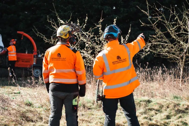 when to call a tree surgeon